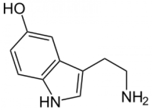 Serotonin aneb Štěstí má chemický vzorec